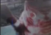 巨乳学生妹饥渴求操 真空上阵对着肉棒疯狂骑乘