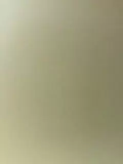 【国产自拍】学妹和听话的男友开房自拍先让用嘴舔逼伺候
